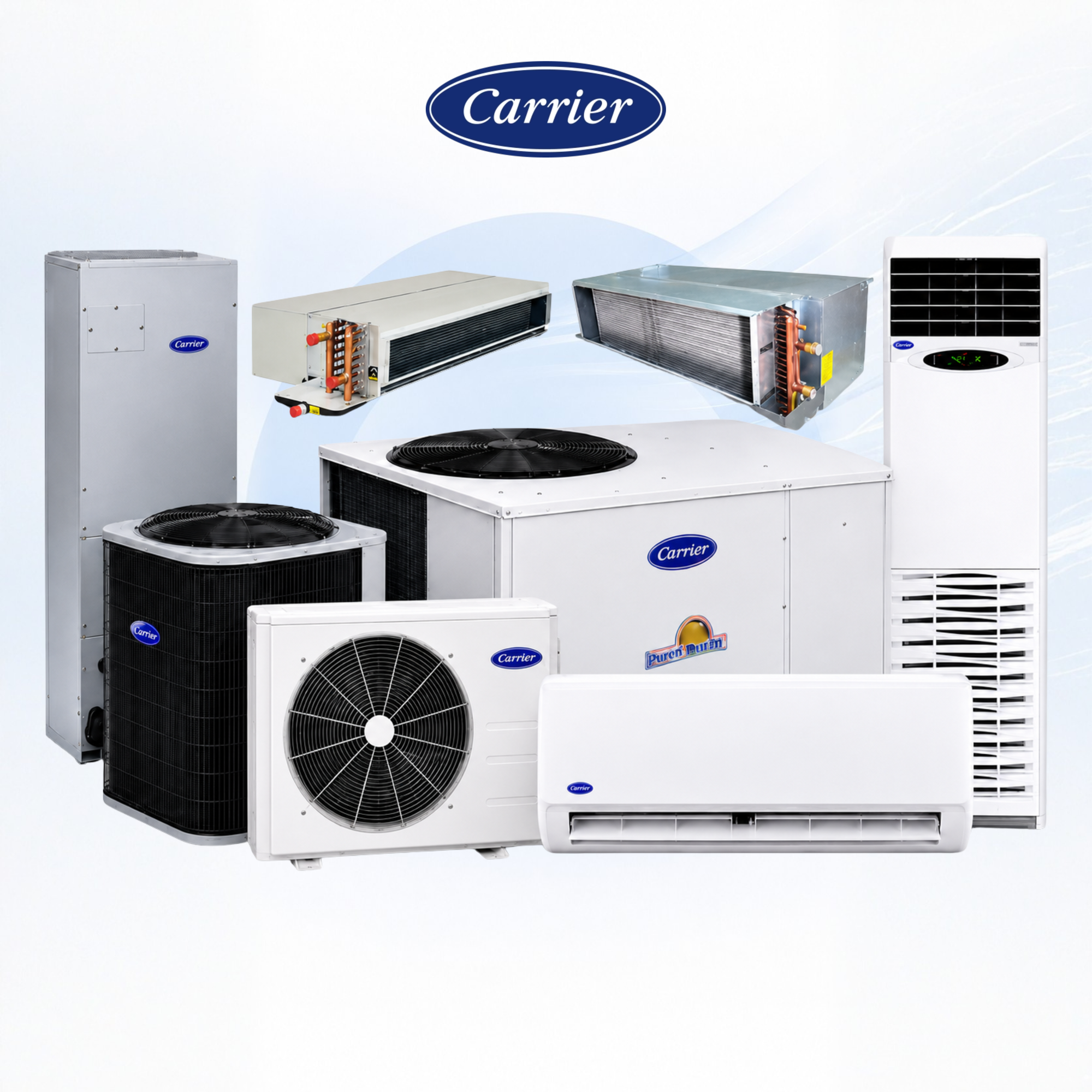 Carrier